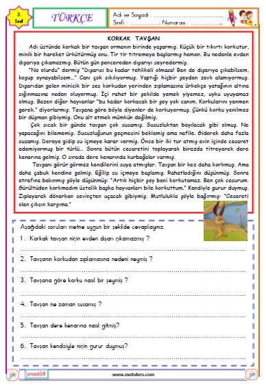 3. Sınıf Türkçe Okuma ve Anlama Metni Etkinliği ( Korkak Tavşan )